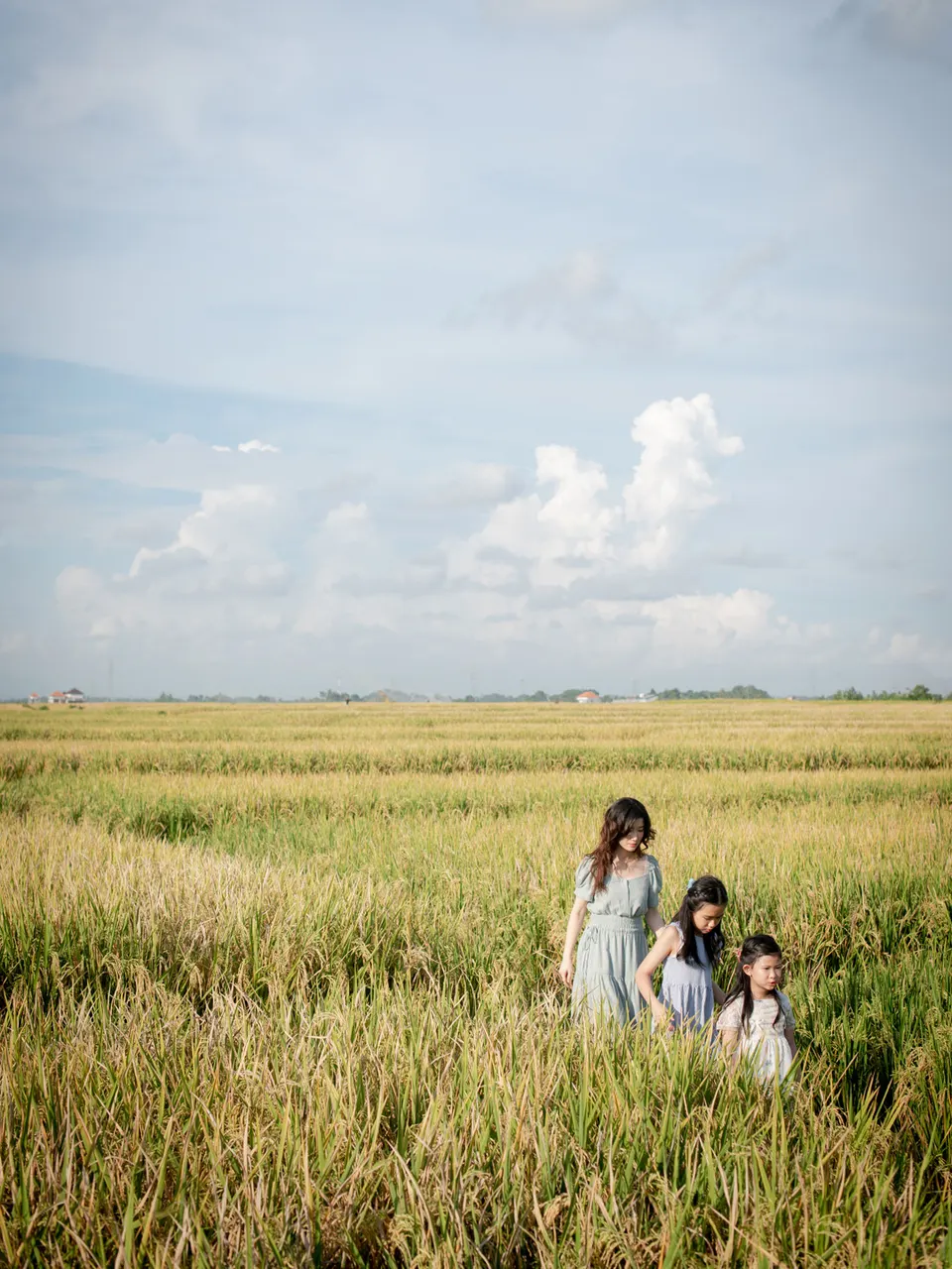 Family portrait beside rice fields